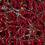 SPIDER NET FABRIC