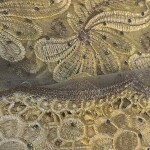 ACLIPSE CHINESE EMBROIDERY  FABRIC