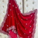 velvet embrodery shawl